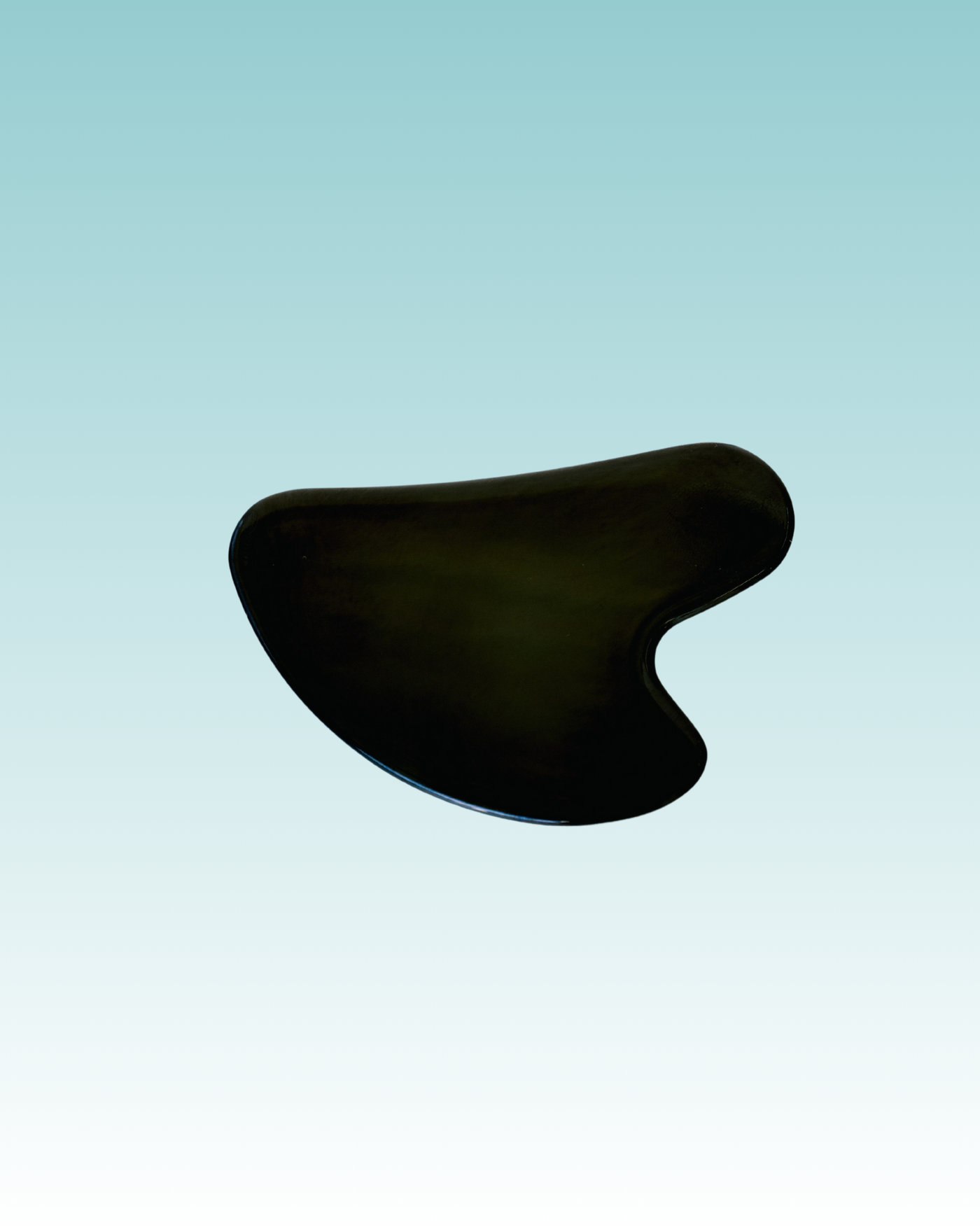 Stainless Steel Gua Sha